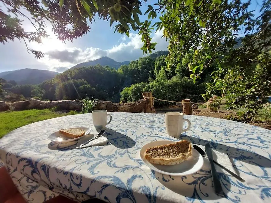 Casa Barranco Villa Juzcar 0*,  Spain